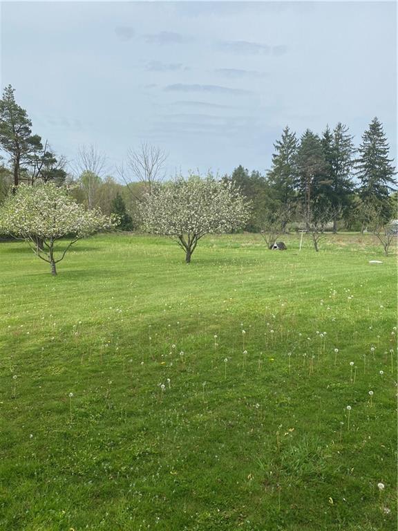8272 Lamor Road Mercer, PA 16137 - Photo 8 of 10