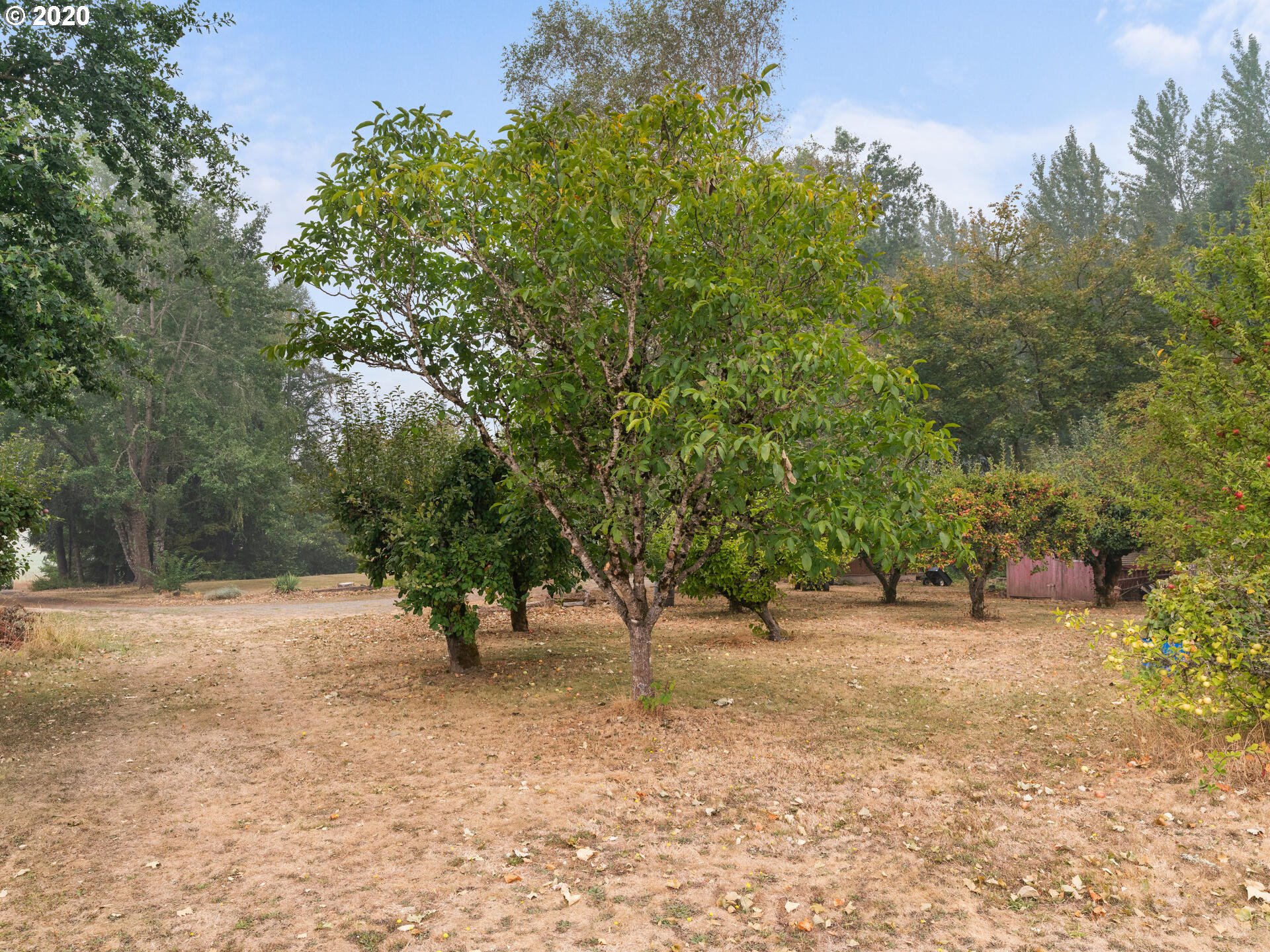 4830 Northwest Susbauer Road Cornelius, OR 97113 - Photo 31 of 32 Gallery Image 31