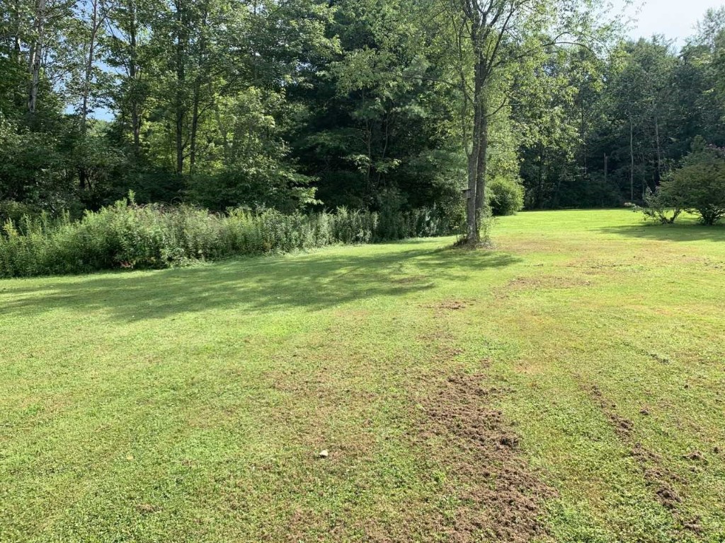 924 Nowlan Road Port Crane, NY 13833 - Photo 16 of 21 Gallery Image 16