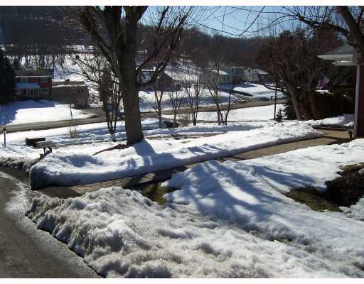 9 Hilltop Acres Road Washington, PA 15301 - Photo 2 of 18 Land/Lot. Another view of nearly 1 acre, including mature trees.