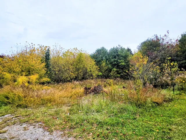 $120,000 | 1565 Main Street, Palmer, TN 37365