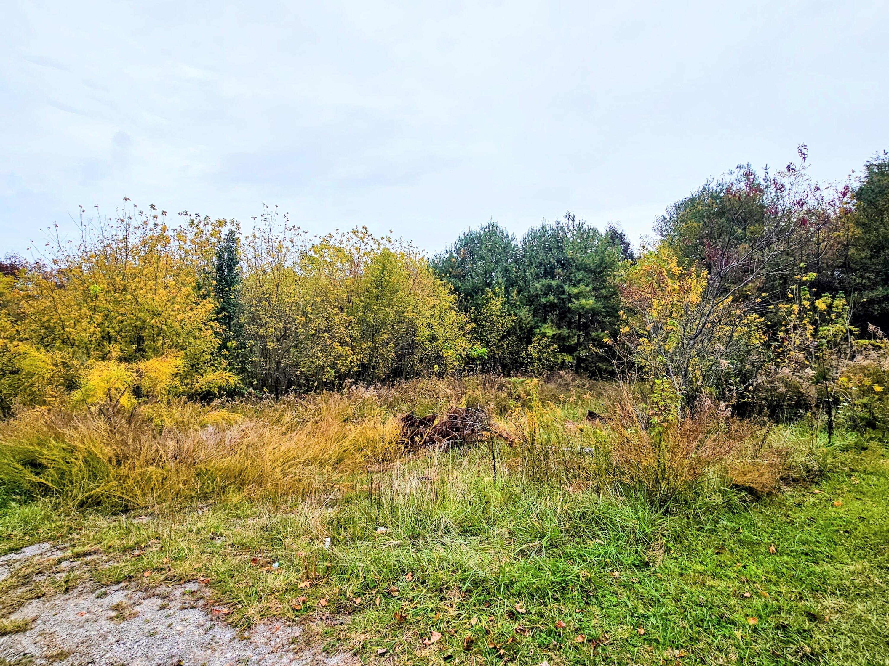 1565 Main Street Palmer, TN 37365 - Photo 8 of 27 1000018165