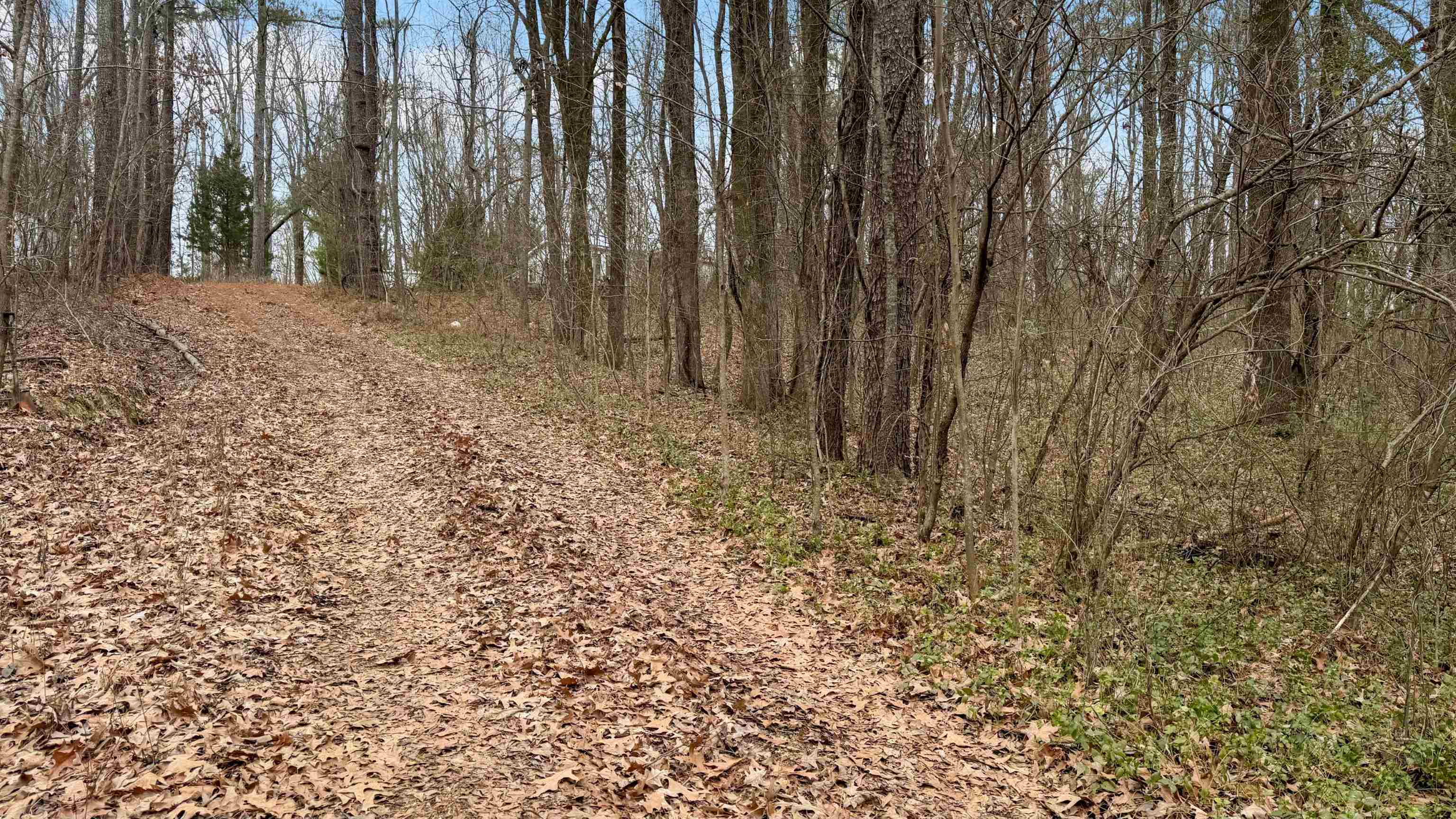 471 Milton Road Millington, TN 38053 - Photo 21 of 23