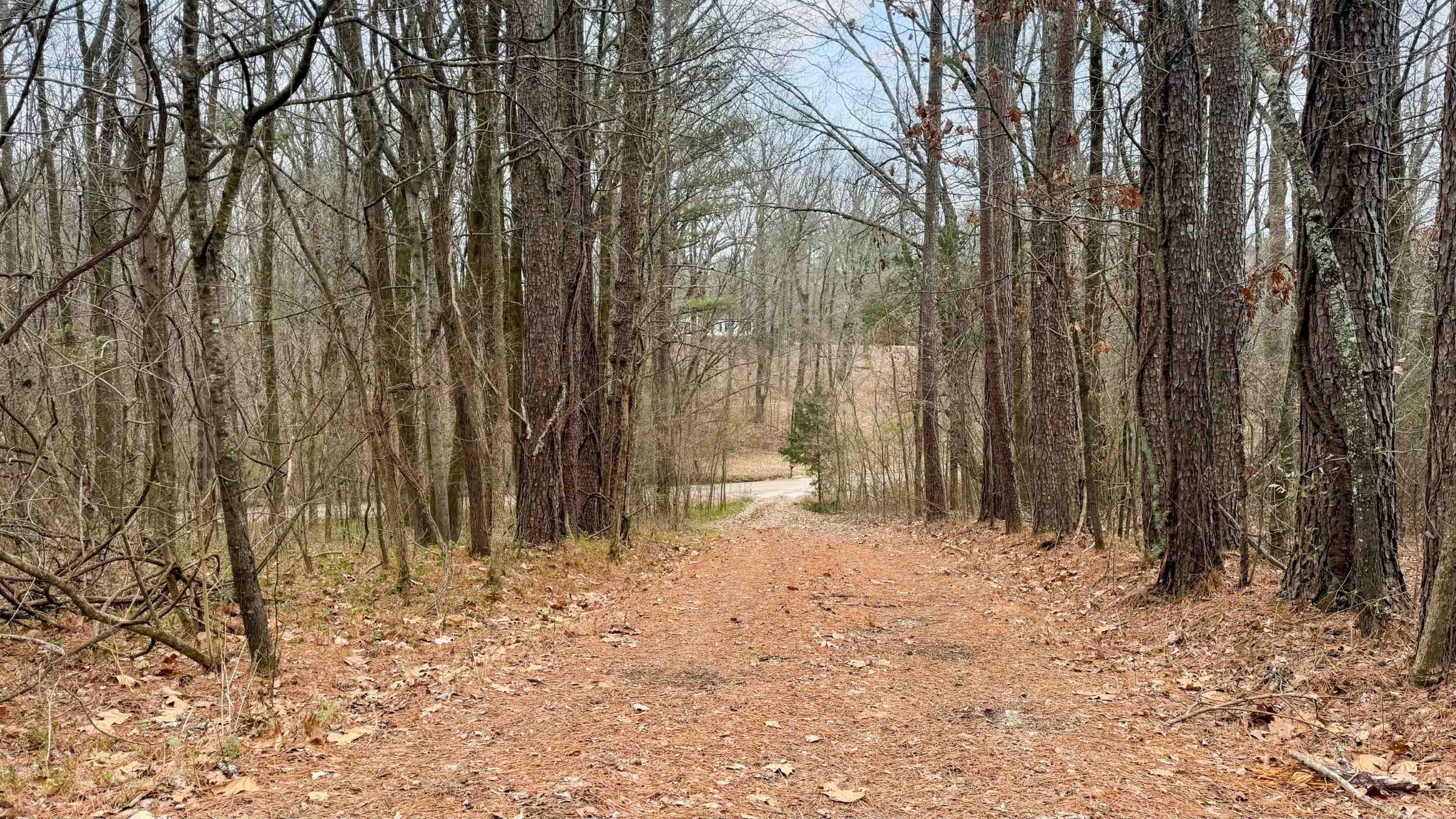 471 Milton Road Millington, TN 38053 - Photo 22 of 23