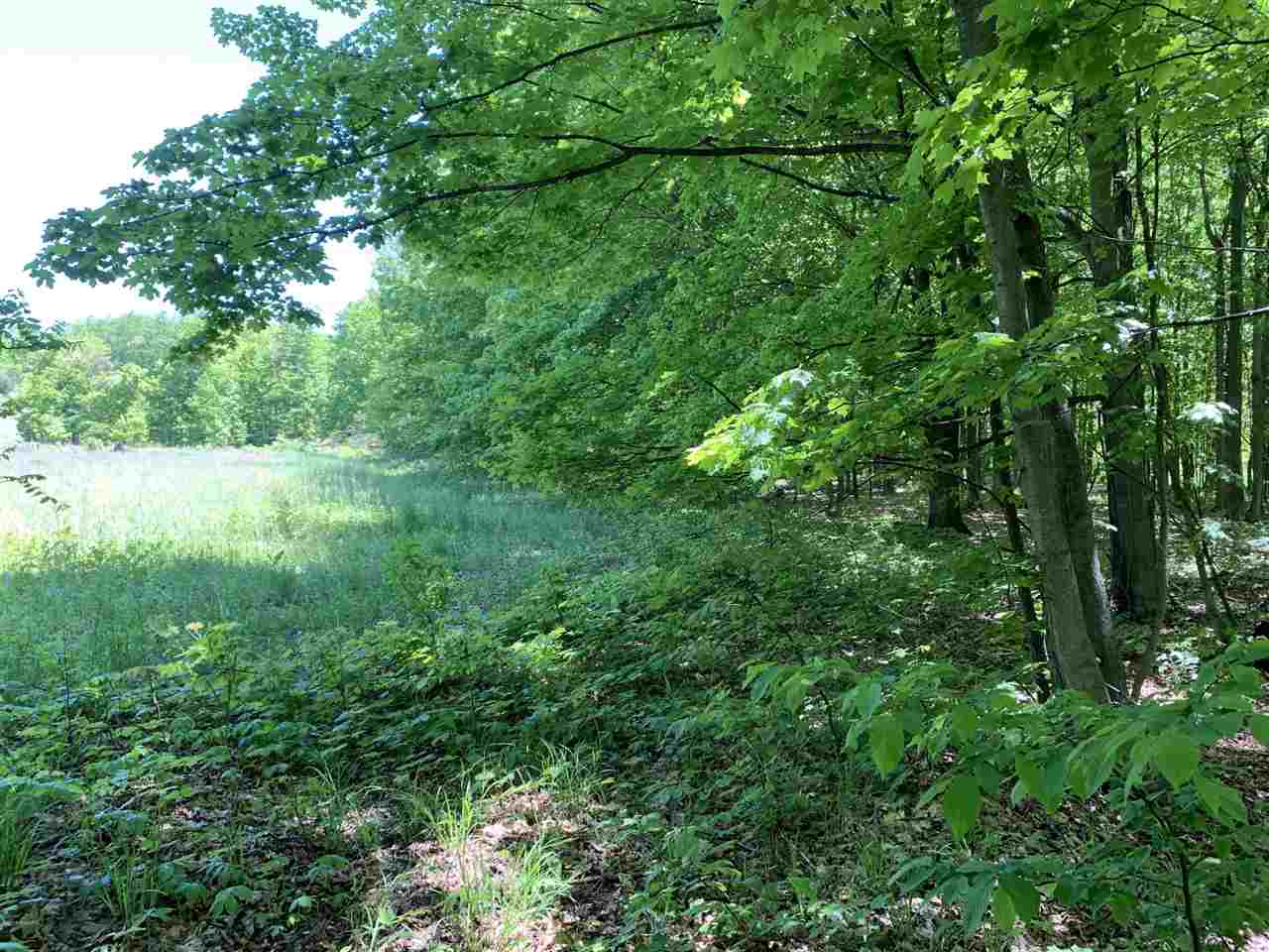 4.05 West Baseline Road Hart, MI 49420 - Photo 3 of 6