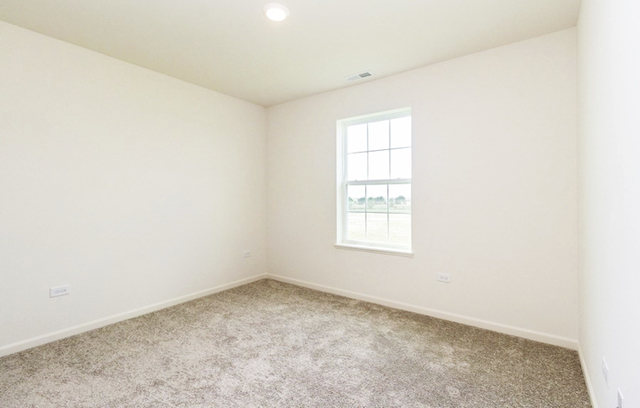 15058 Quincy Circle Manhattan, IL 60442 - Photo 9 of 10