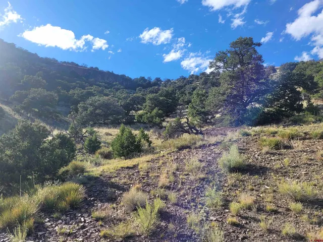 $119,700 | Tbd Tbd Co Road, Saguache, CO 81149
