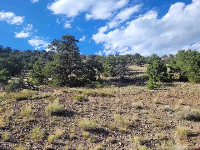 $119,700 | Tbd Tbd Co Road, Saguache, CO 81149