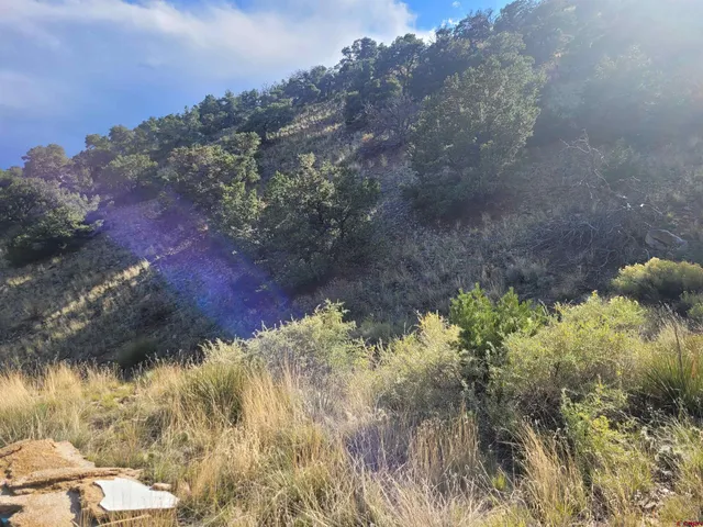 $119,700 | Tbd Tbd Co Road, Saguache, CO 81149