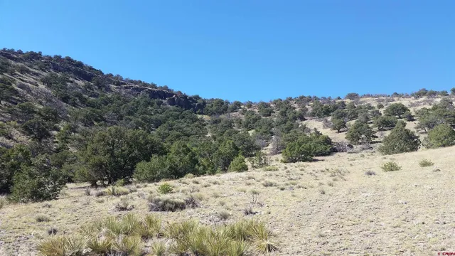$119,700 | Tbd Tbd Co Road, Saguache, CO 81149