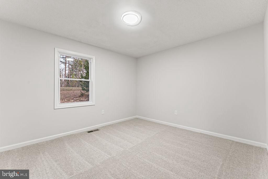 13162 Scotts Mill Road Culpeper, VA 22701 - Photo 20 of 26