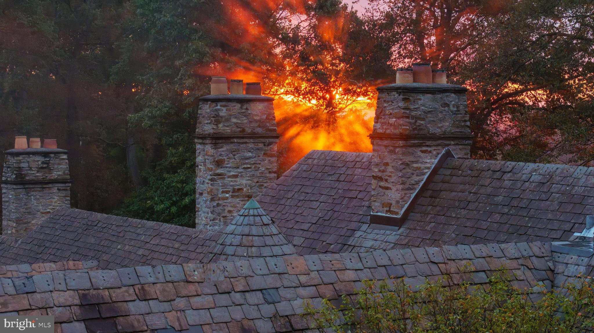 3600 Butler Road Glyndon, MD 21136 - Photo 11 of 99