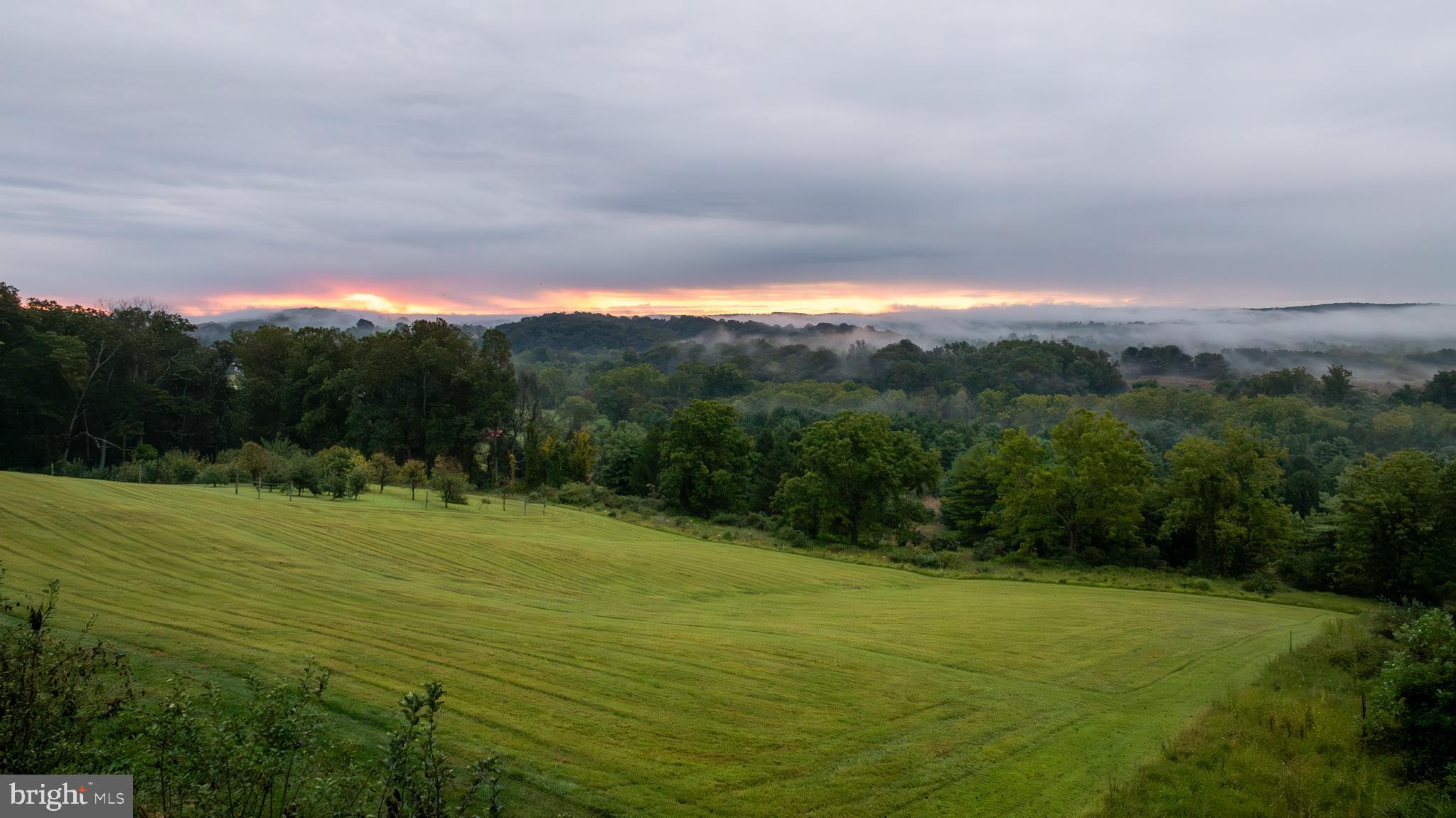 3600 Butler Road Glyndon, MD 21136 - Photo 37 of 99