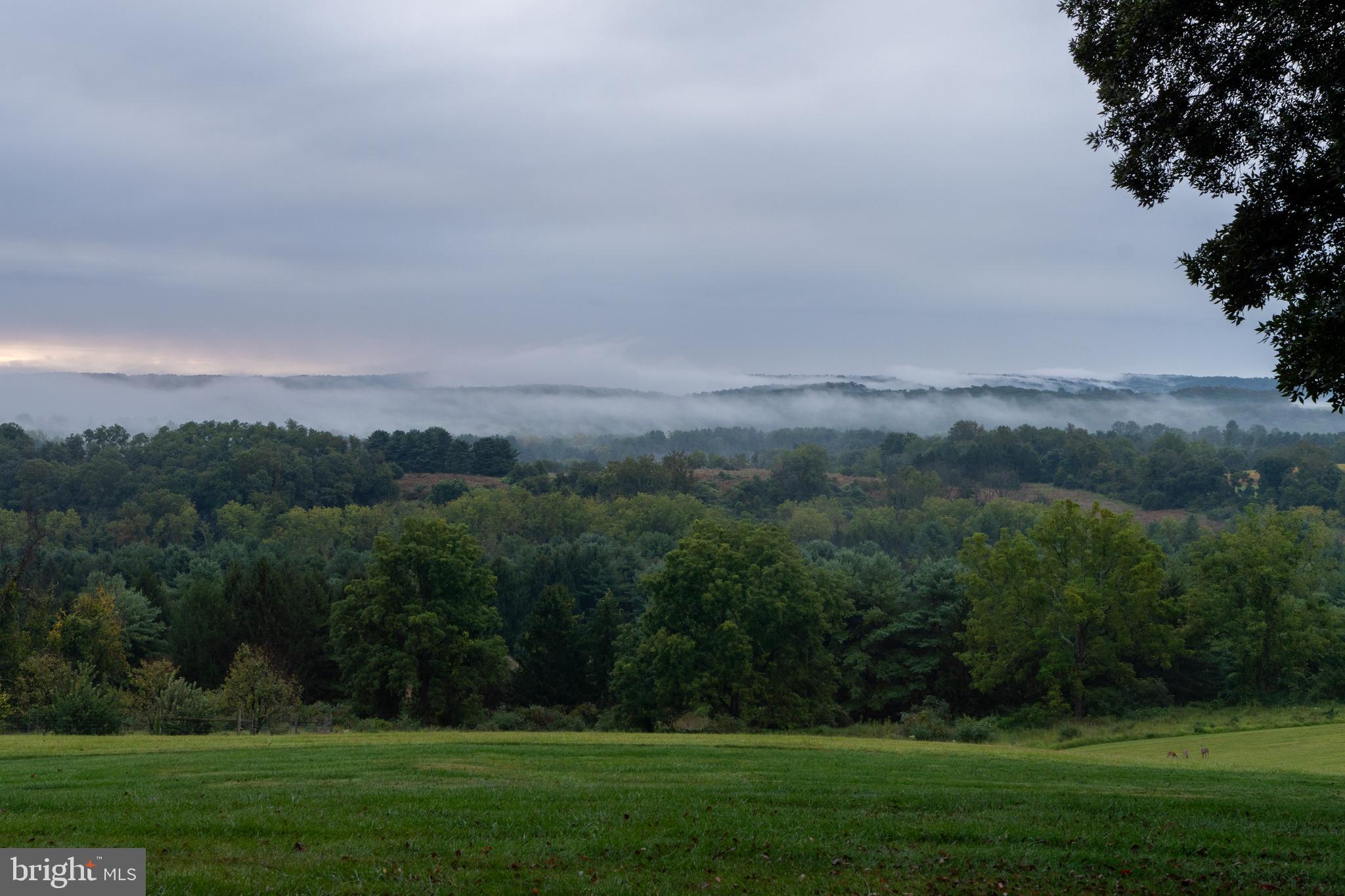 3600 Butler Road Glyndon, MD 21136 - Photo 84 of 99