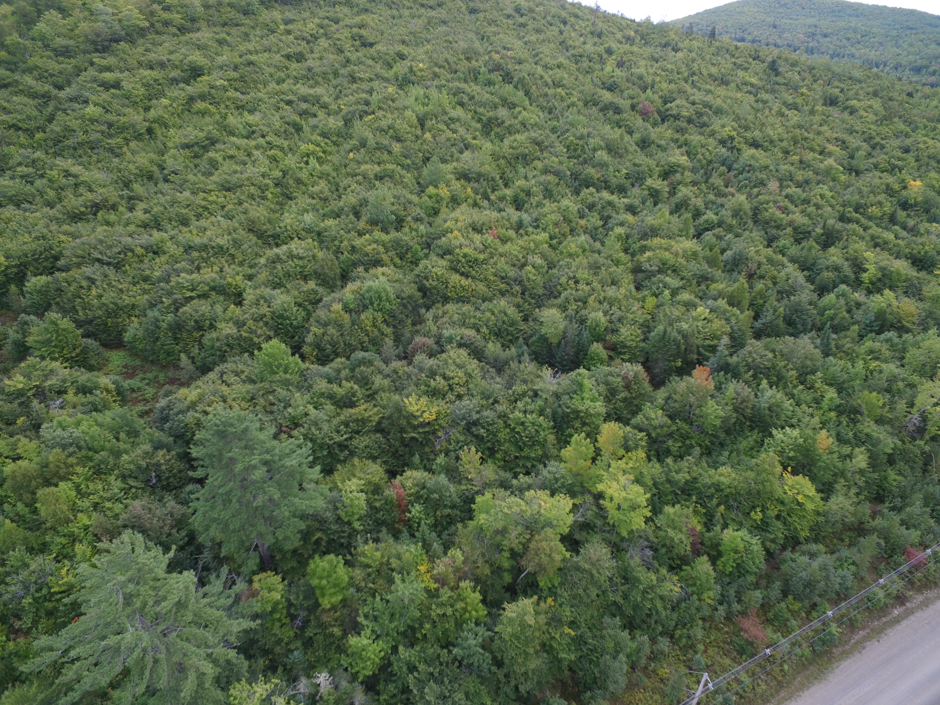 Lot 6 Half Township Road Lincoln, ME 04457 - Photo 9 of 11 DJI_0003
