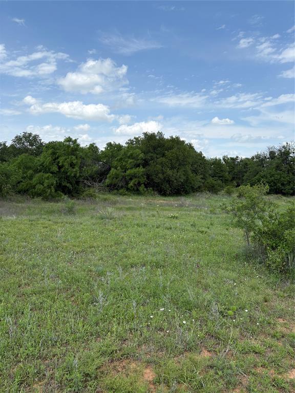 268 County Road 268 Rising Star, TX 76471 - Photo 13 of 23 a view of a lake with a mountain in the background