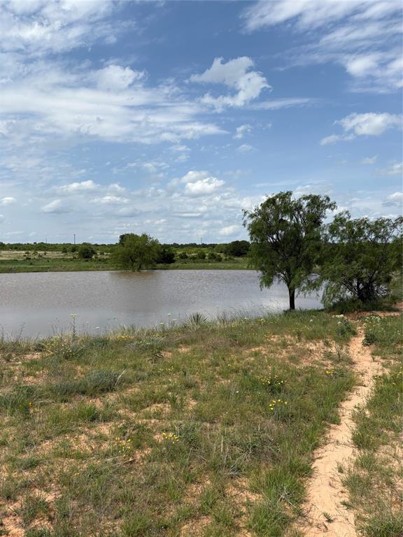 268 County Road 268 Rising Star, TX 76471 - Photo 14 of 23 a view of a lake with houses in the background