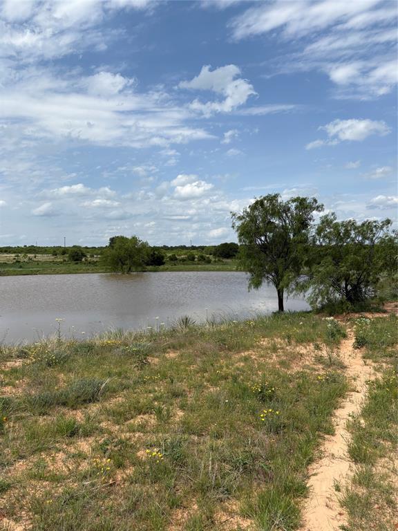 268 County Road 268 Rising Star, TX 76471 - Photo 15 of 23 a view of a lake with houses in the background