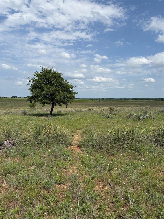 268 County Road 268 Rising Star, TX 76471 - Photo 16 of 23 a view of an outdoor space and yard