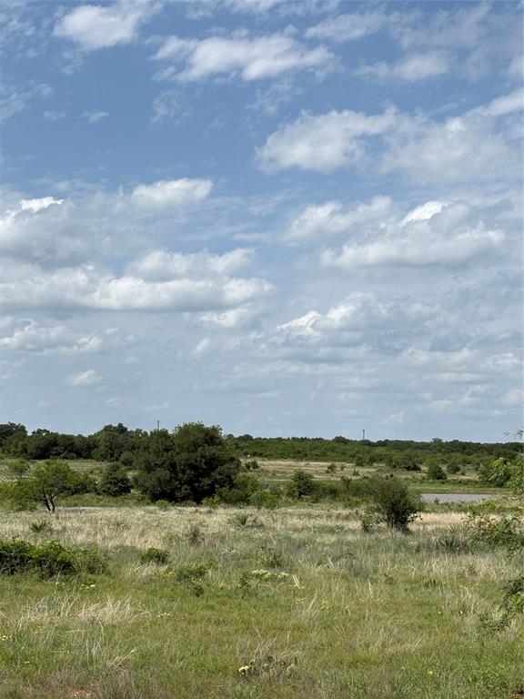 268 County Road 268 Rising Star, TX 76471 - Photo 19 of 23