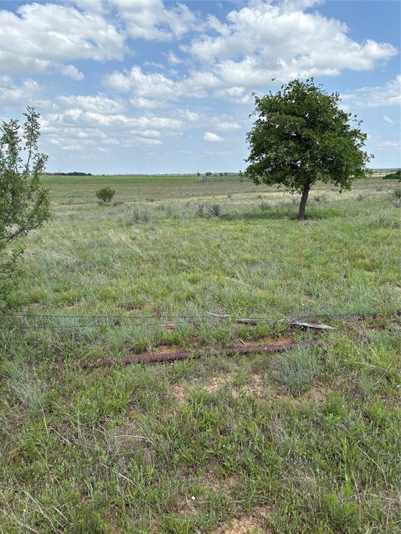 268 County Road 268 Rising Star, TX 76471 - Photo 20 of 23 a view of yard with swimming pool and trees in the background