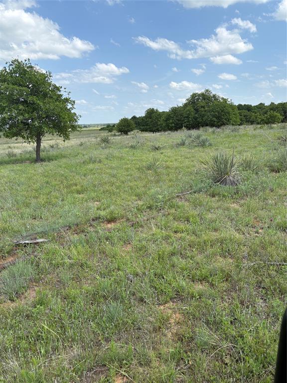 268 County Road 268 Rising Star, TX 76471 - Photo 21 of 23 a view of an outdoor space and a yard