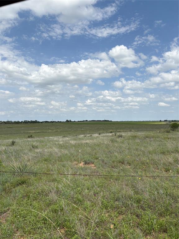 268 County Road 268 Rising Star, TX 76471 - Photo 22 of 23 a view of a lake and a yard