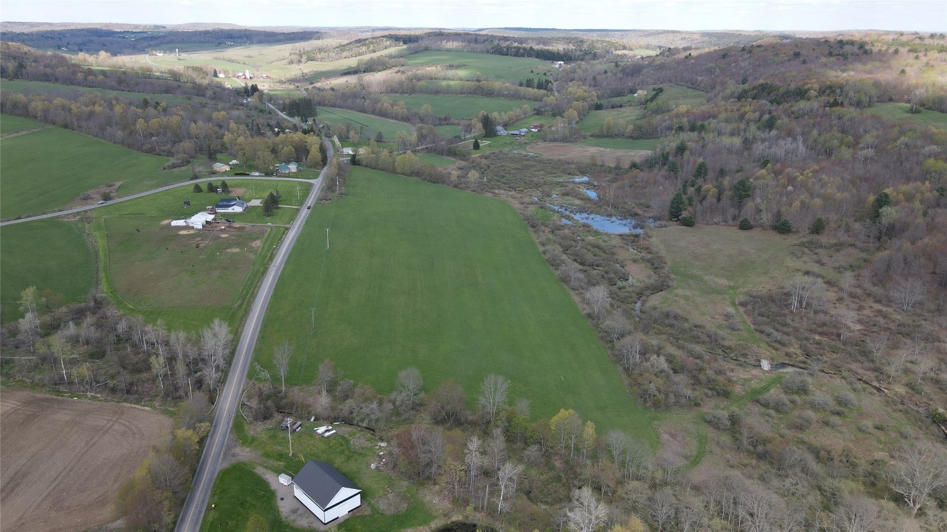 400 Page Brook Road Whitney Point, NY 13862 - Photo 3 of 6