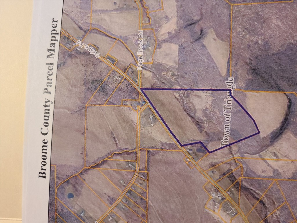 400 Page Brook Road Whitney Point, NY 13862 - Photo 6 of 6