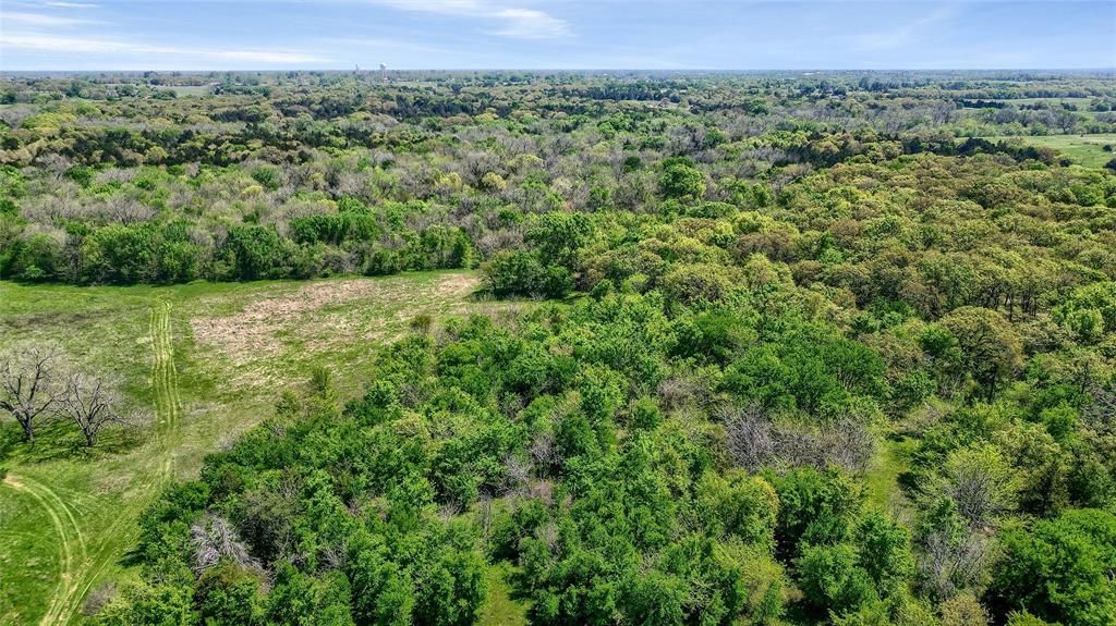 Tbd West Tbd W Line Road Collinsville, TX 76233 - Photo 11 of 27 a view of a green field with lots of bushes