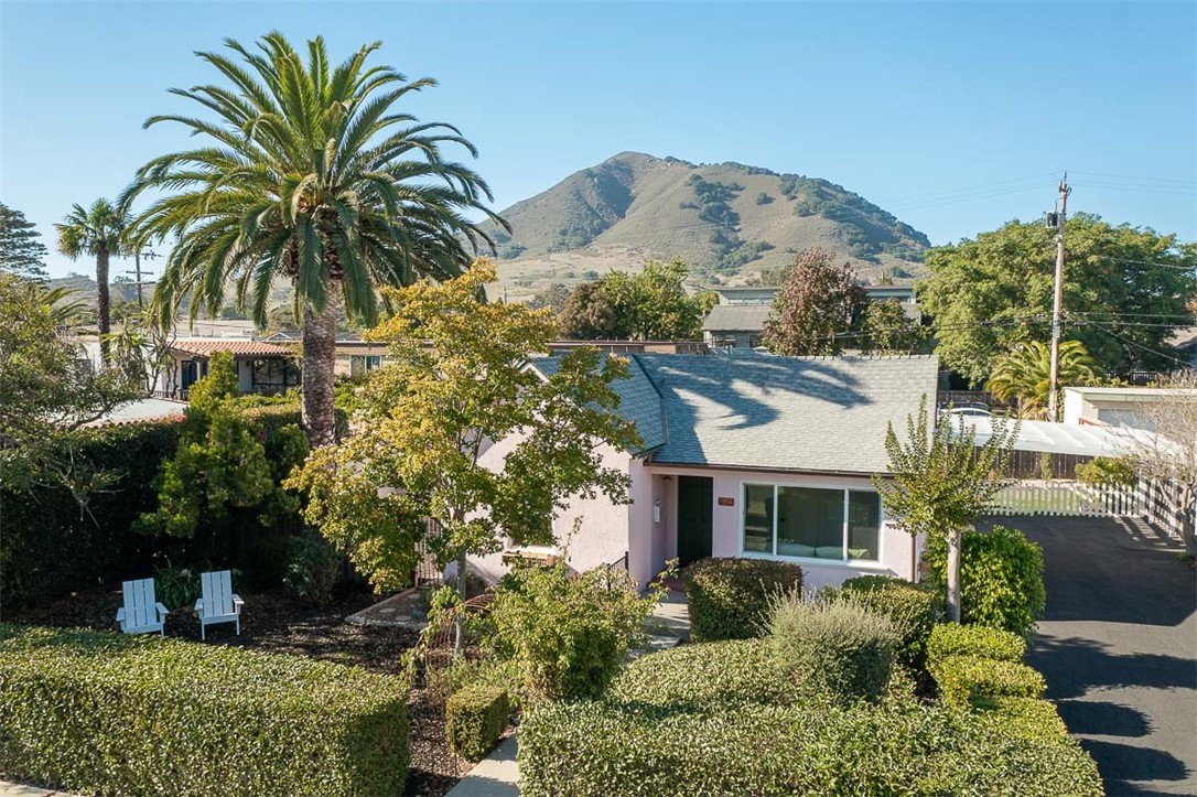 a view of a house with a yard and potted plants