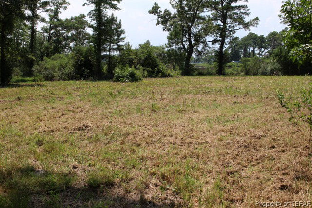 0 Buckchase Road Hudgins, VA 23076 - Photo 2 of 6
