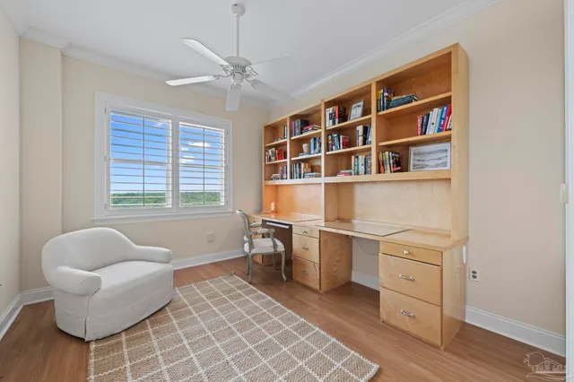 a view of park with plants and trees