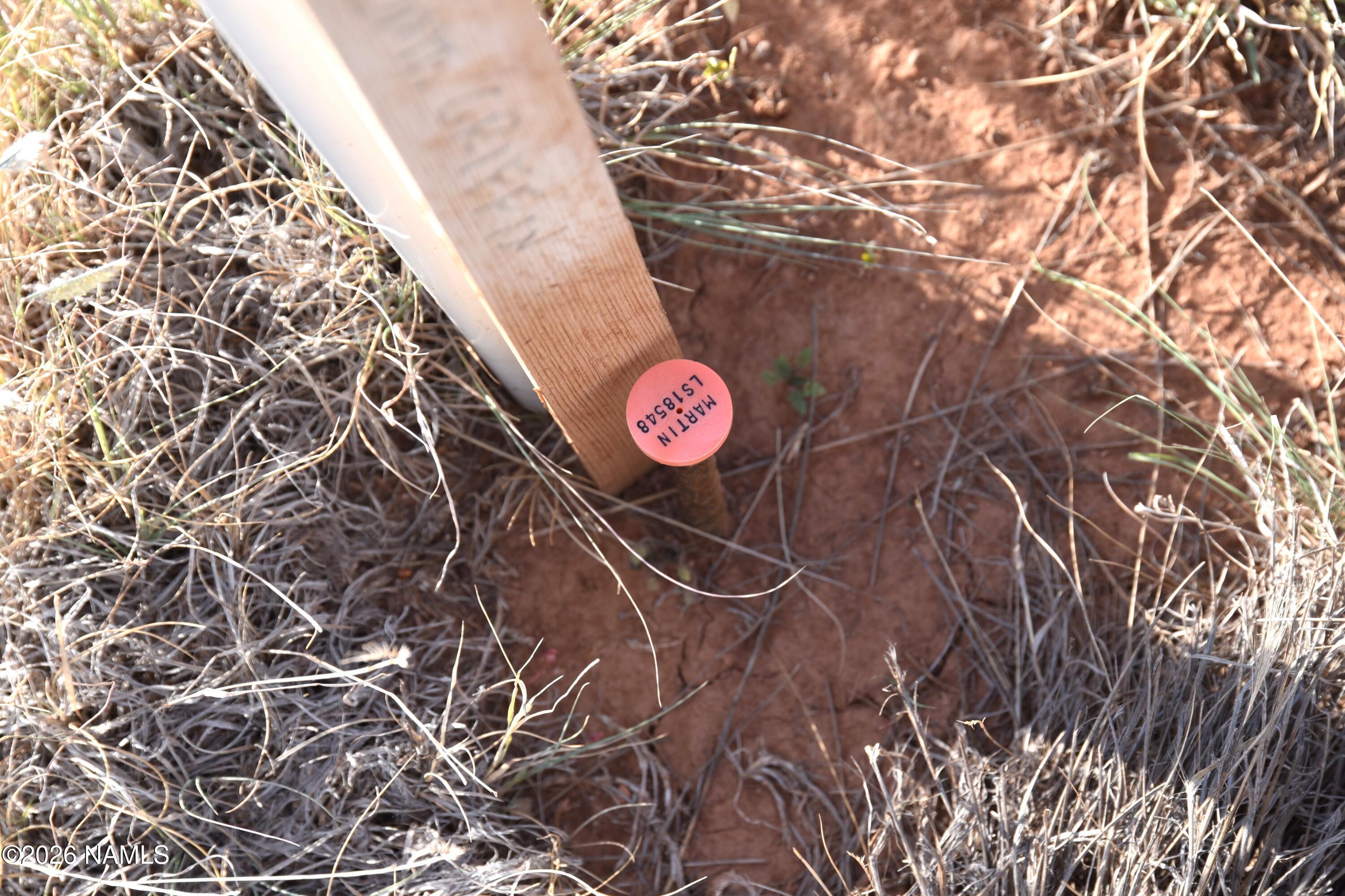 0 North Santa Clara Road Williams, AZ 86046 - Photo 5 of 11 DSC_5535