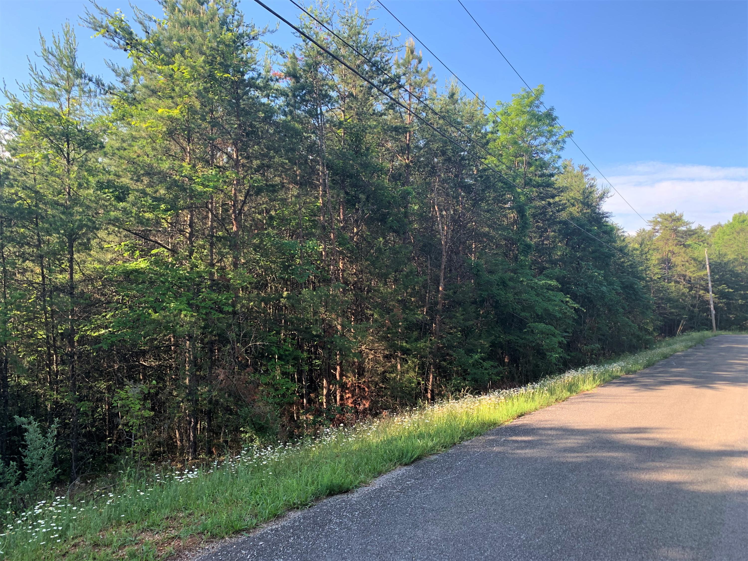 Lot 17 Tucson Road Newport, TN 37821 - Photo 3 of 7 03