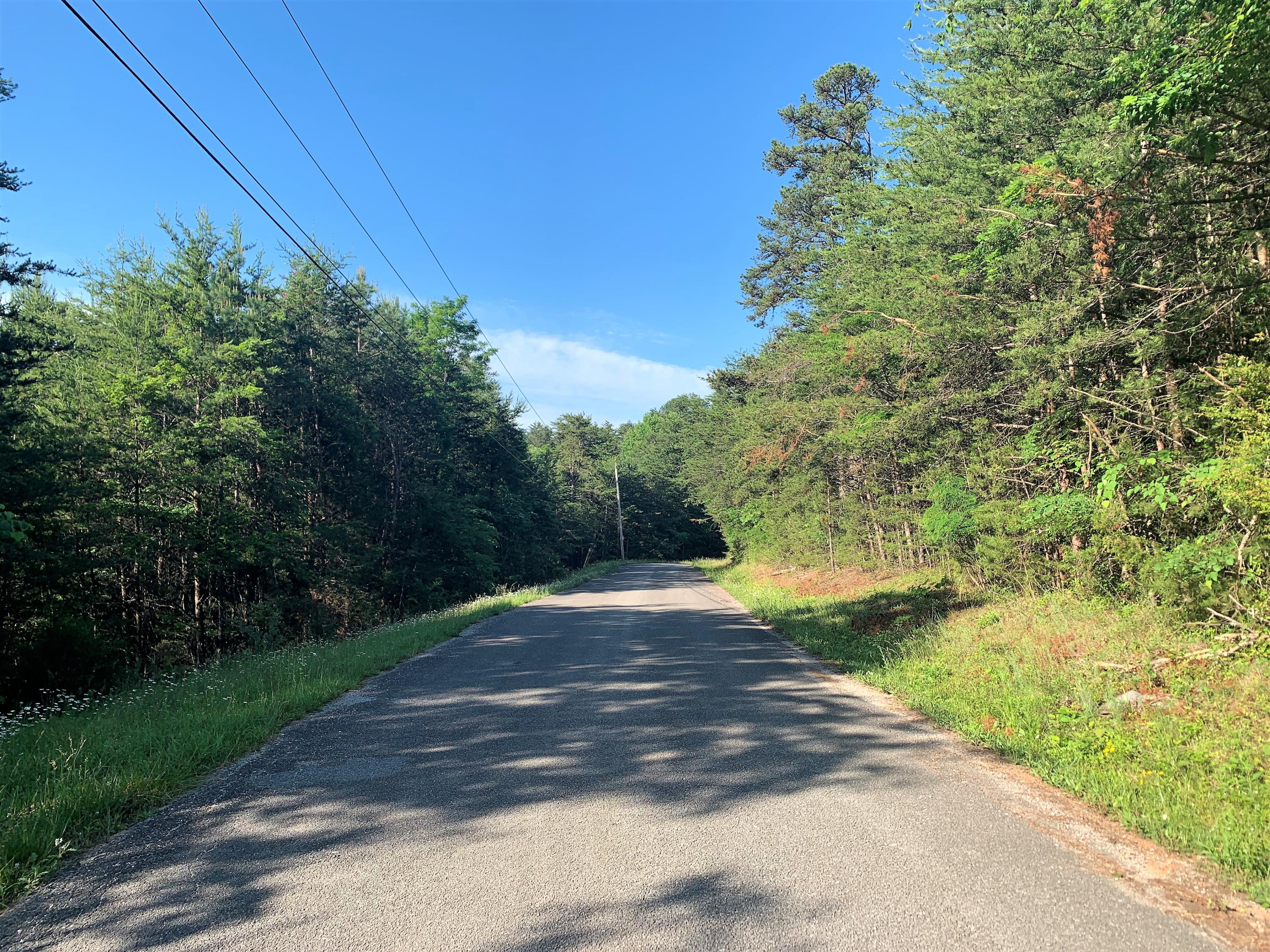 Lot 17 Tucson Road Newport, TN 37821 - Photo 4 of 7 04