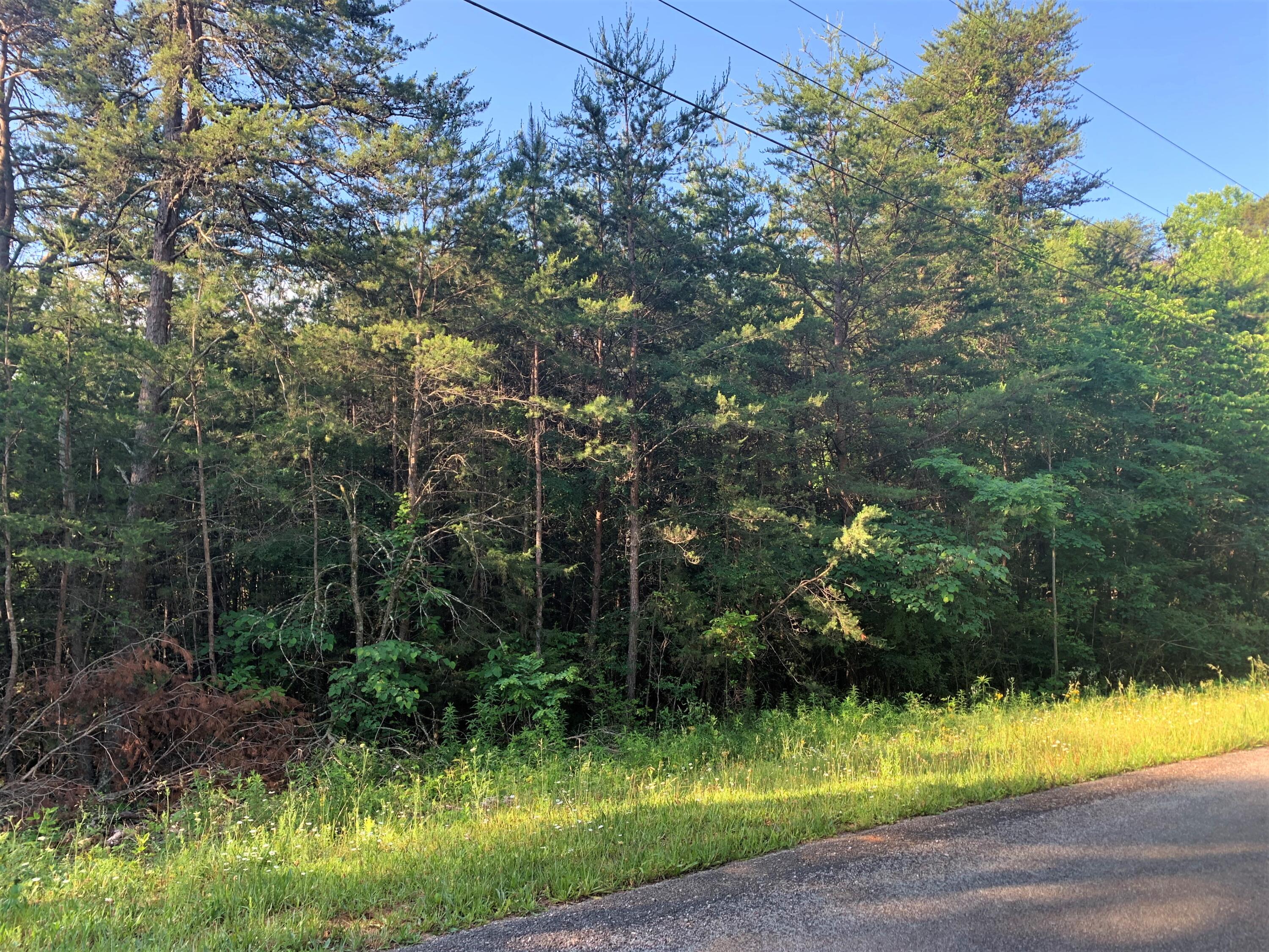 Lot 17 Tucson Road Newport, TN 37821 - Photo 6 of 7 06