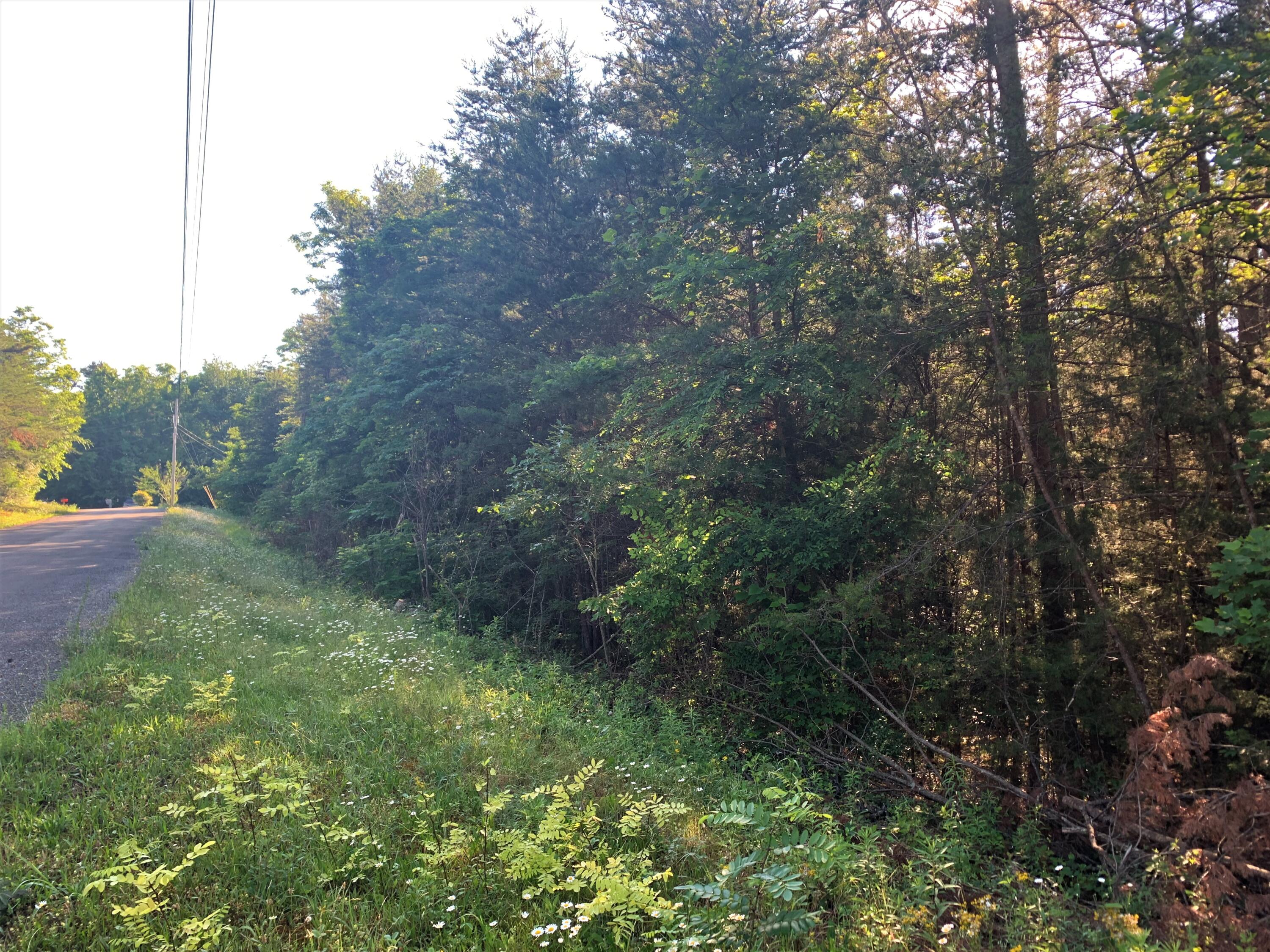 Lot 17 Tucson Road Newport, TN 37821 - Photo 7 of 7 07