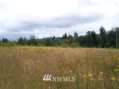99999 Dluhosh Road Onalaska, WA 98570 - Photo 1 of 1 Gallery Image 1