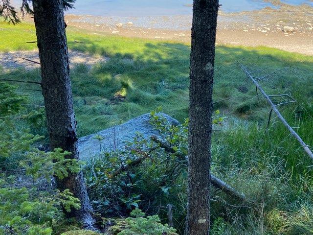 715 Paul Bunyan Road Corea, ME 04624 - Photo 8 of 14 IMG_20250827_163357 (5)