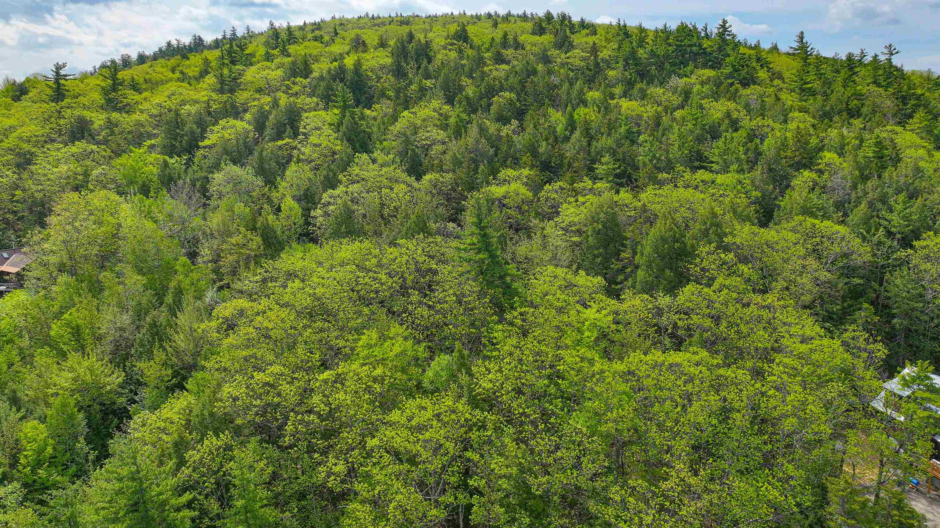 44 Regent Hill Road, Unit LOT # 113 Conway, NH 03818 - Photo 6 of 14