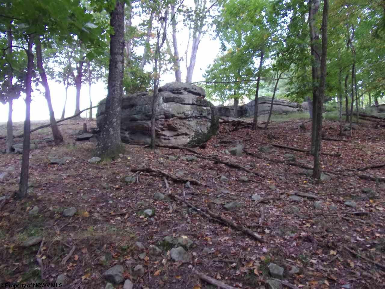 0 Georgetown Road Belington, WV 26250 - Photo 6 of 9 Gallery Image 6