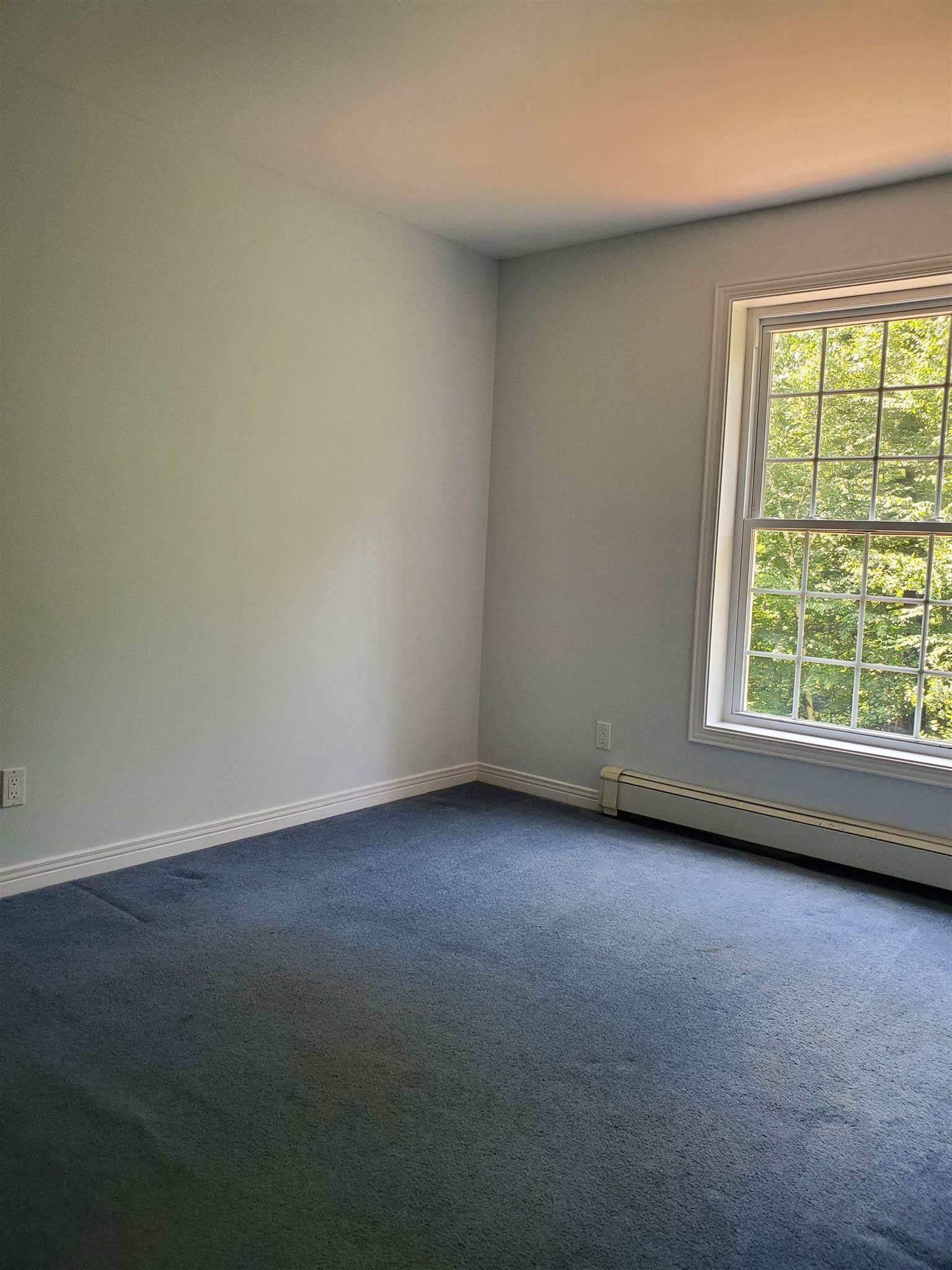 115 Craney Hill Road Weare, NH 03281 - Photo 16 of 22