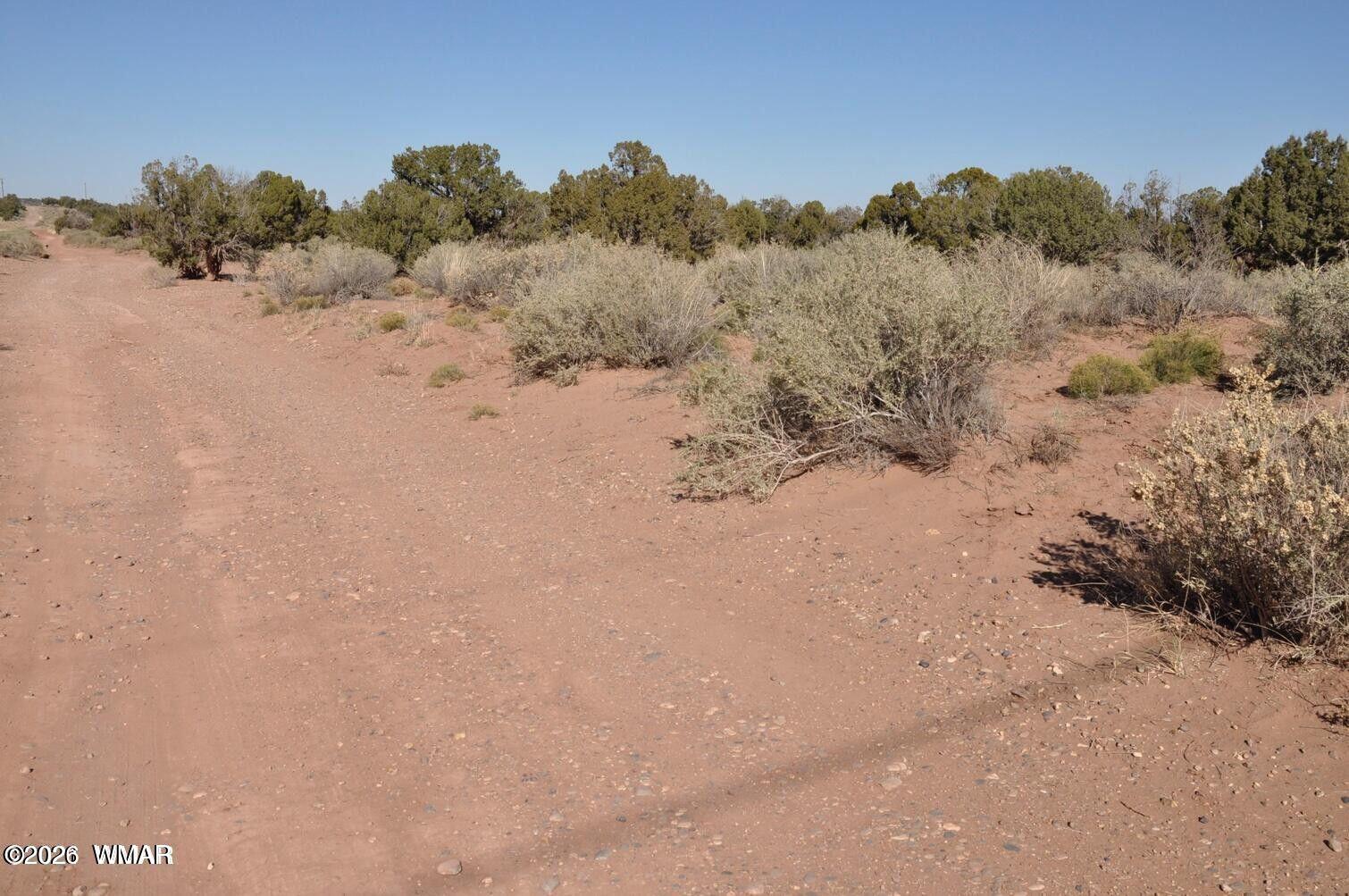 5039 Pima Road Snowflake, AZ 85937 - Photo 12 of 21 a view of a covered with snow in the background