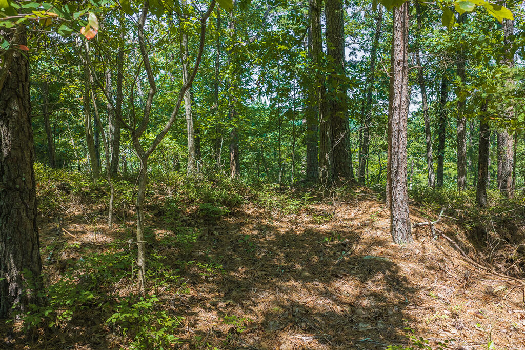 694-695 Railey Ridge Ranger, GA 30734 - Photo 6 of 17 Gallery Image 6