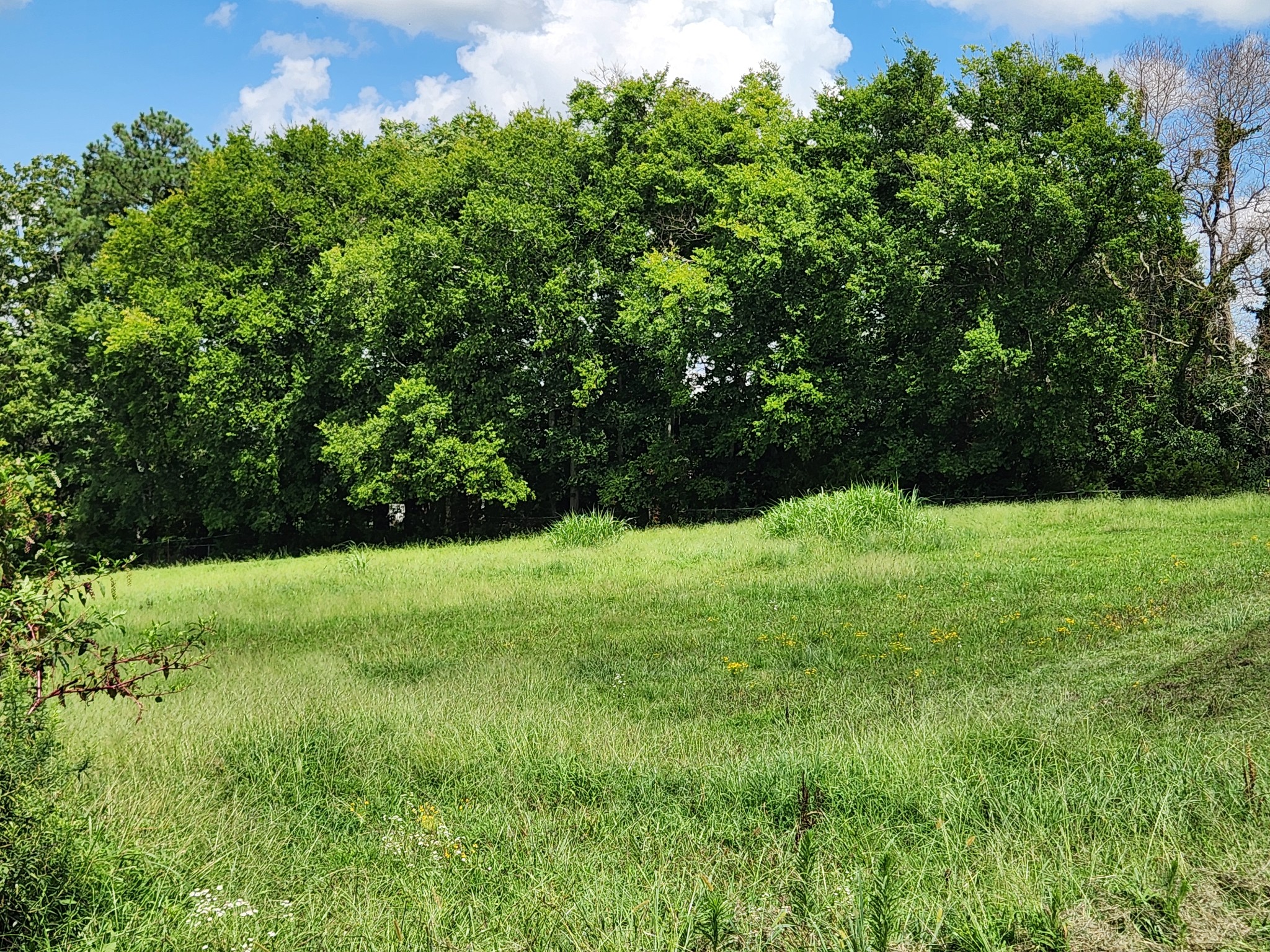1963 Hidden Hills Road Pulaski, TN 38478 - Photo 15 of 29 Gallery Image 15