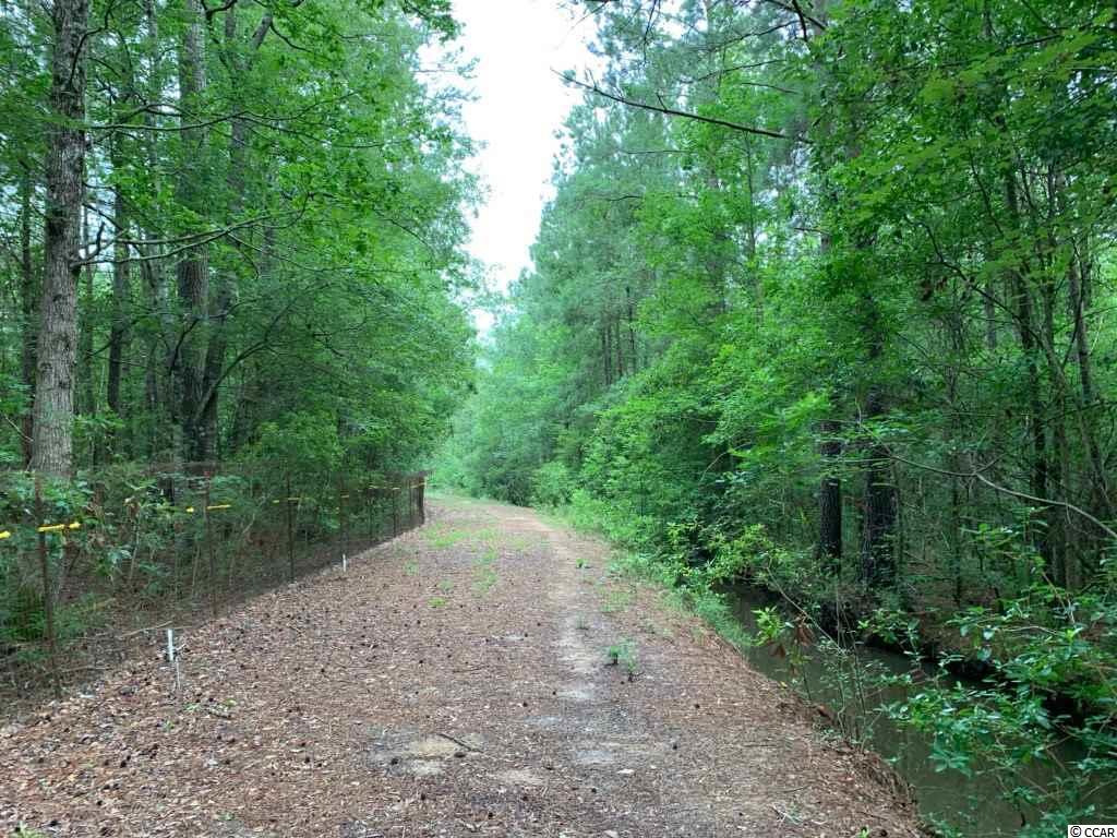 44 Gapway Road Andrews, SC 29510 - Photo 1 of 4 Gallery Image 1