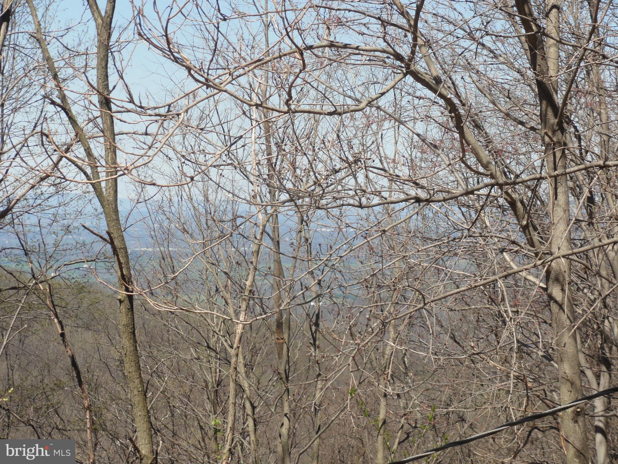 422 Long View Road Linden, VA 22642 - Photo 6 of 22 a backyard of a house with lots of trees