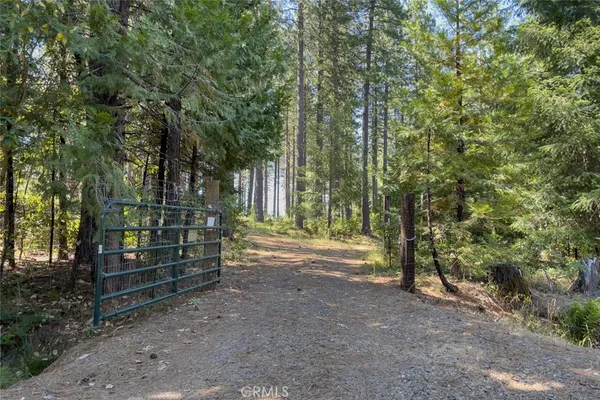 a view of outdoor space and trees