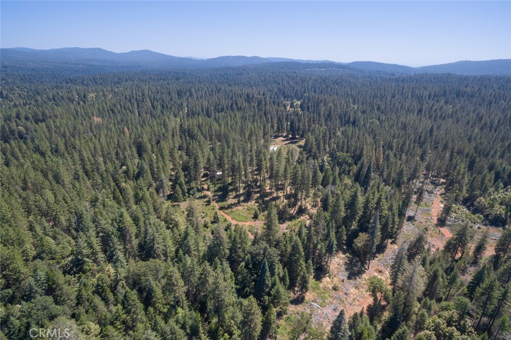 0 Forbestown Road Forbestown, CA 95941 - Photo 18 of 40 a view of a lush green hillside and a building